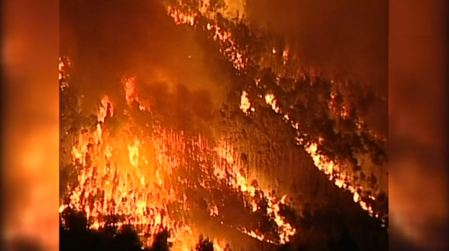Incêndios florestais em Portugal