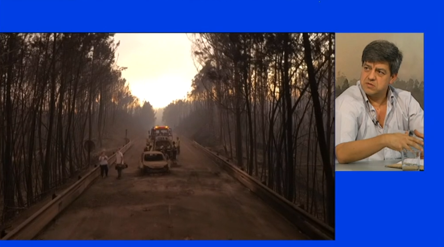 Entrevista a João Joanaz de Melo