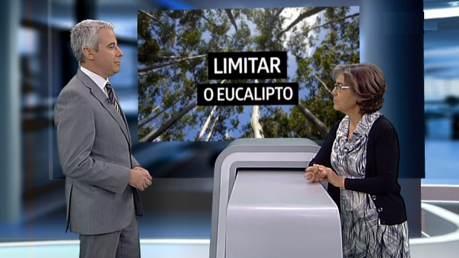 Entrevista a Manuela Cunha