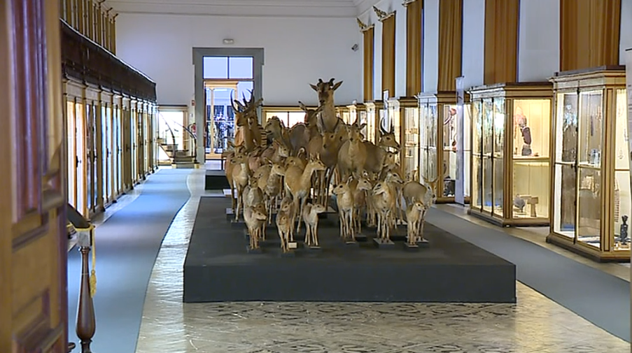 Turismo na Universidade de Coimbra II