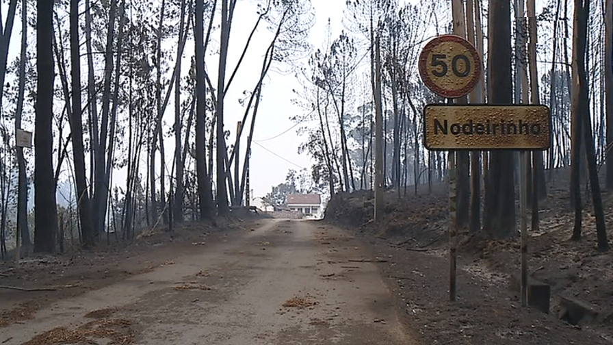 Rescaldo do incêndio florestal em Nodeirinho