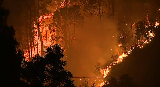 Incêndio florestal em Pampilhosa da Serra