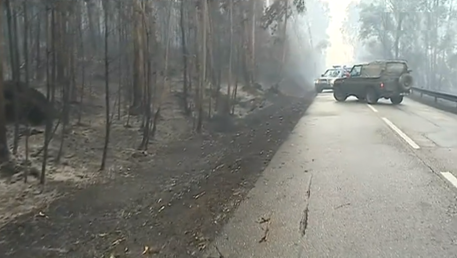 Incêndio em Pedrógão Grande