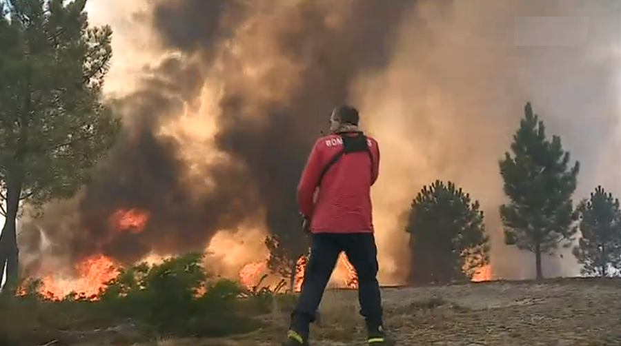 Relatório dos Incêndios