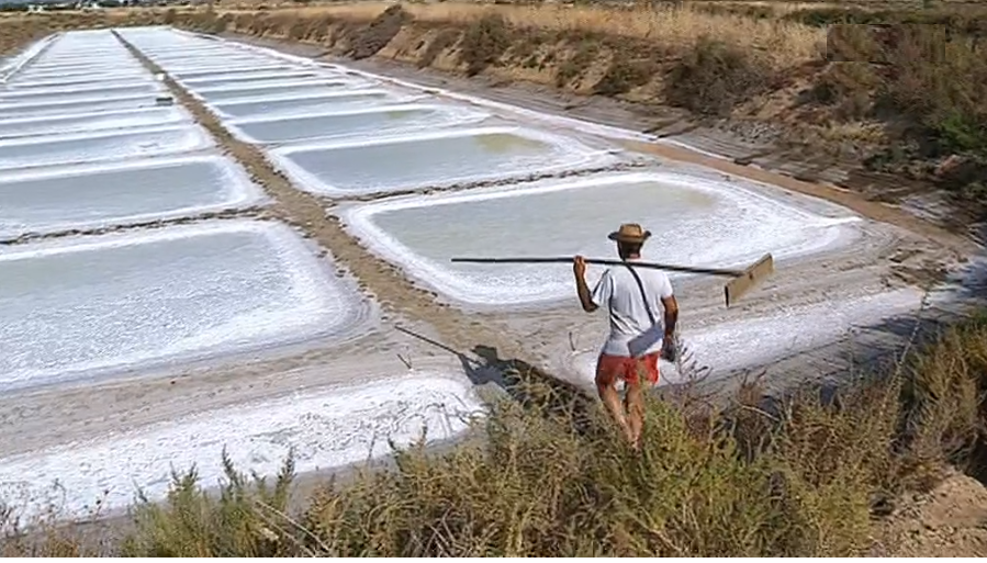 No País dos Campeões: Dia 2