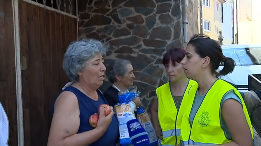 Sobreviventes da EN236