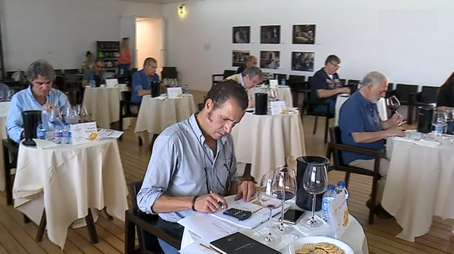 Concurso de vinhos da Beira Interior