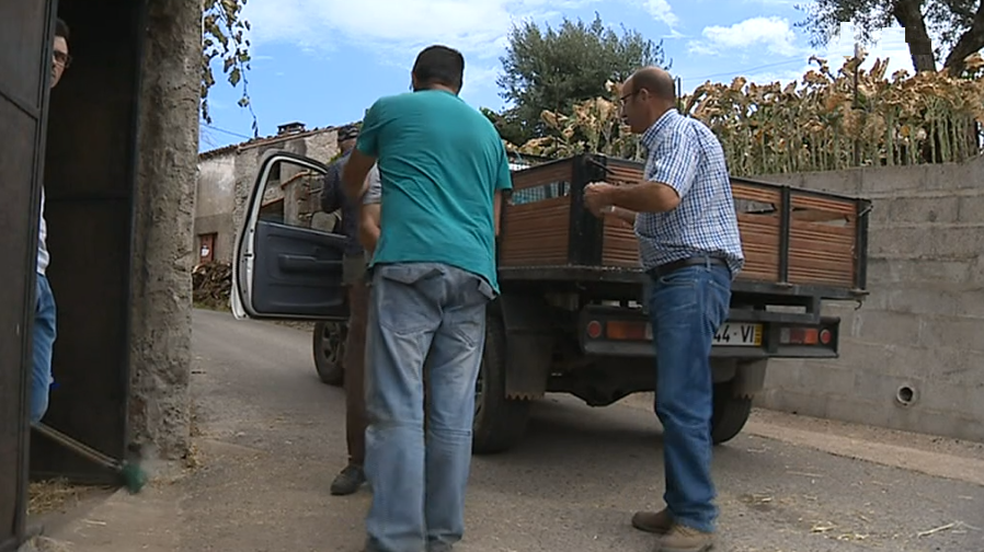 Rescaldo do incêndio florestal na aldeia de Nodeirinho