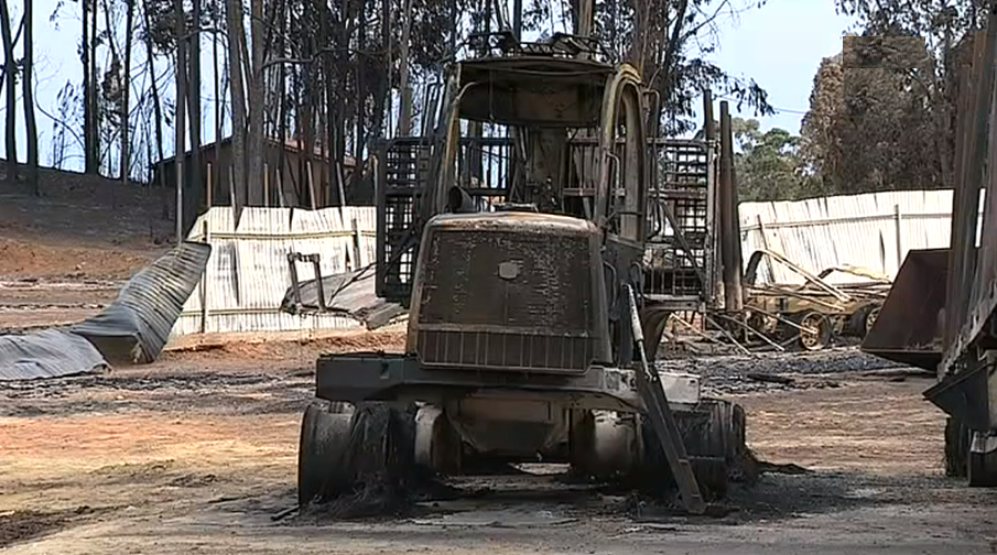 Rescaldo do incêndio florestal em Castanheira de Pêra