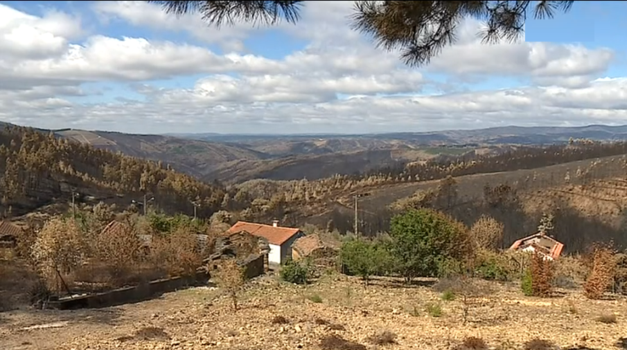 Incêndio florestal em Góis