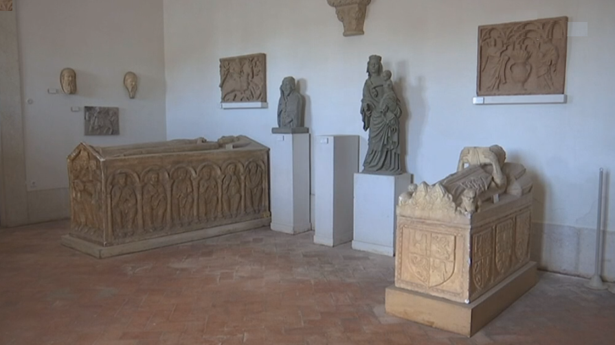 Museu de Escultura Comparada em Mafra