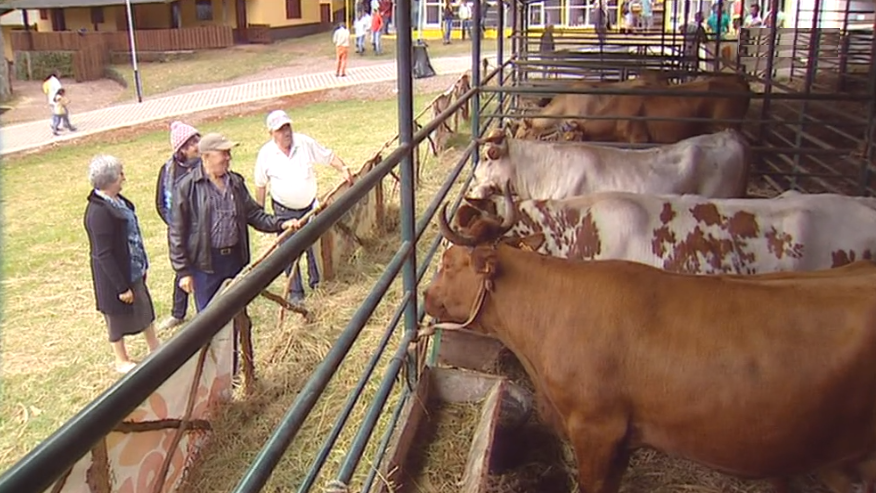 62ª Feira Agropecuária do Porto Moniz