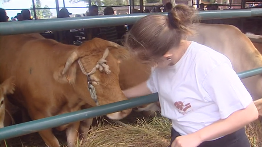 Feira agropecuária do Porto Moniz