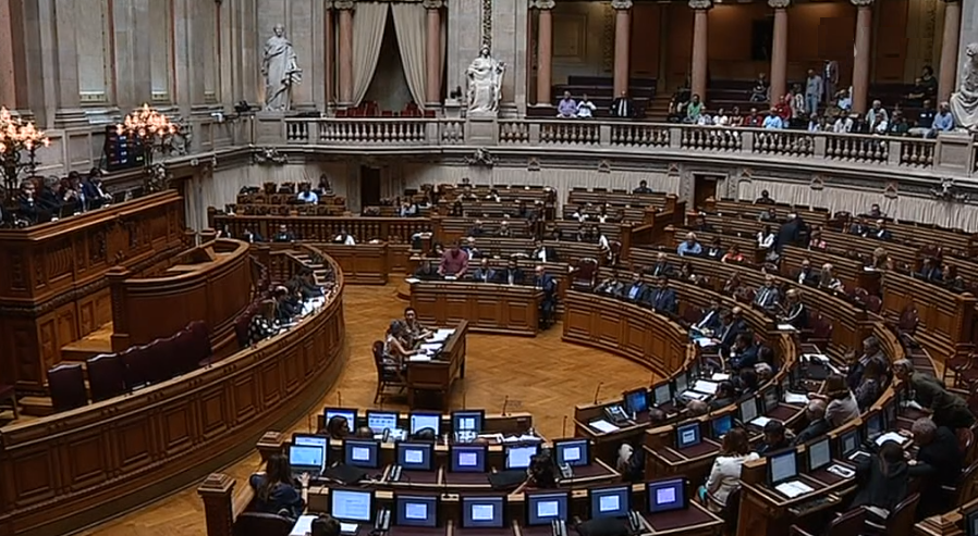 Reflorestação de eucaliptos causa polémica