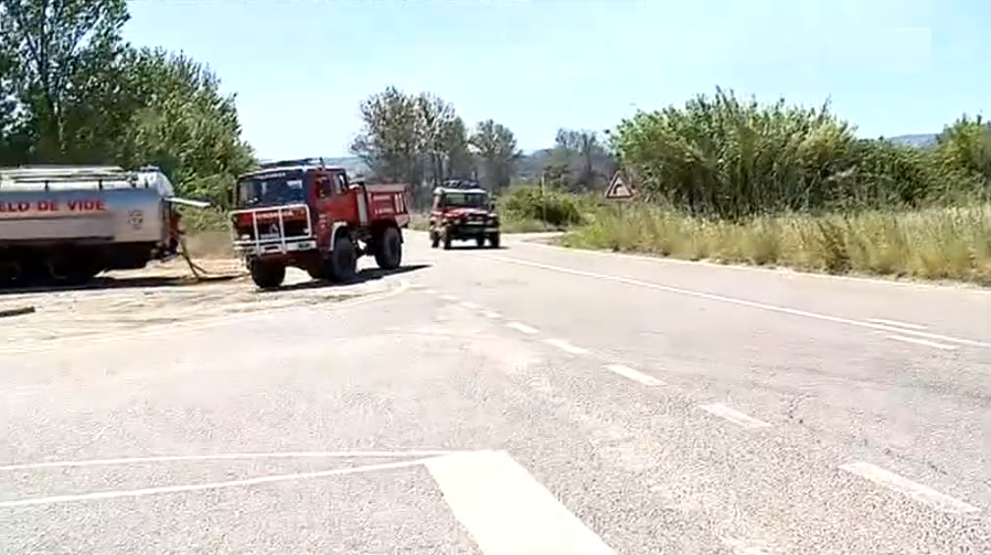 Incêndio florestal em Tramagal