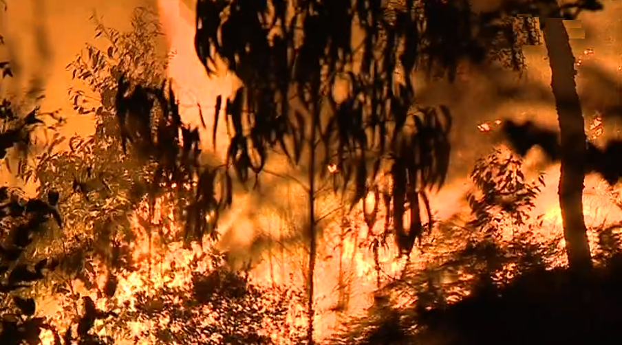 Relatório IPMA sobre os incêndios florestais
