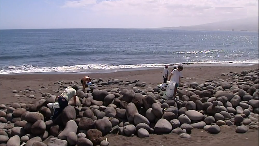 Recolha de lixo numa praia dos Açores