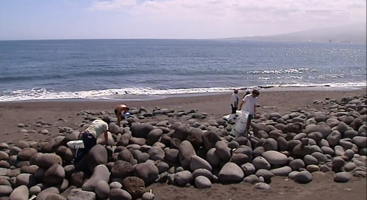 Recolha de lixo numa praia dos Açores