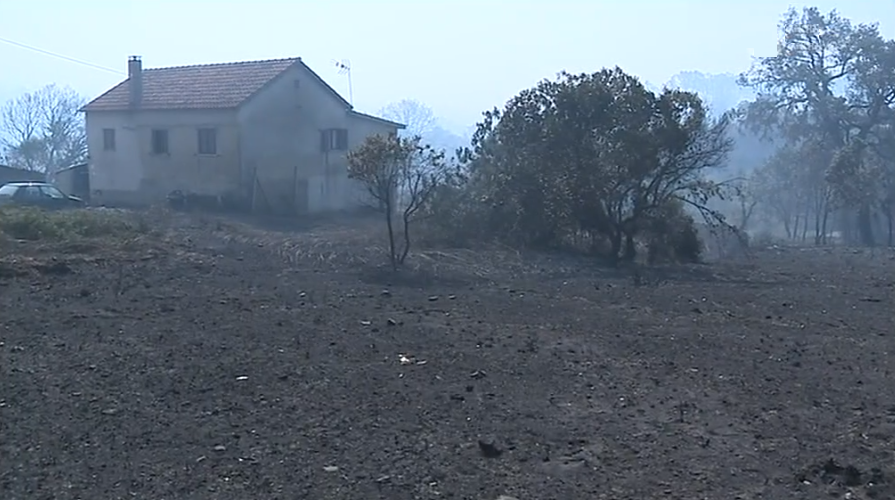 Apoio psicológico reforçado em Pedrógão Grande