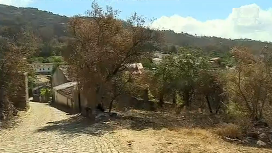 Aldeia em Penela planta novas espécies autóctones