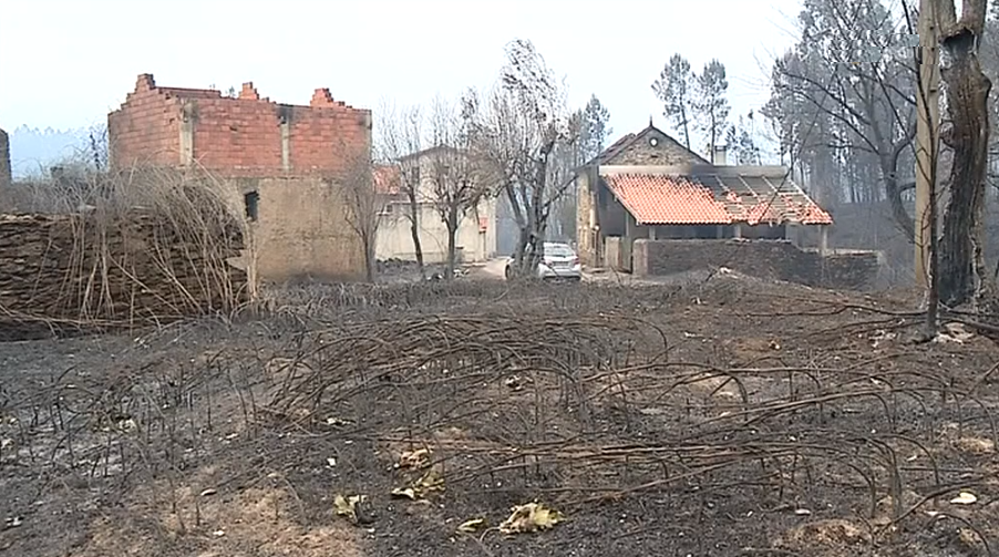 Prejuízos causados pelos incêndios no centro do país
