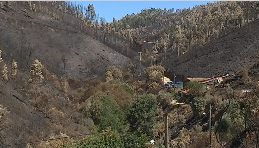 Quinta da Fonte em Figueiró dos Vinhos