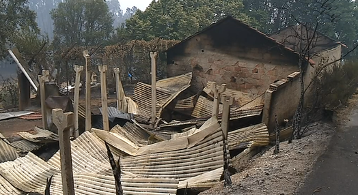 Reconstrução após incêndios florestais