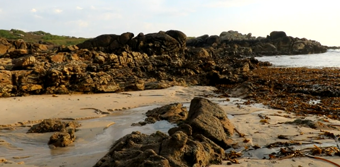 Prémio Jovens Investigadores 2018