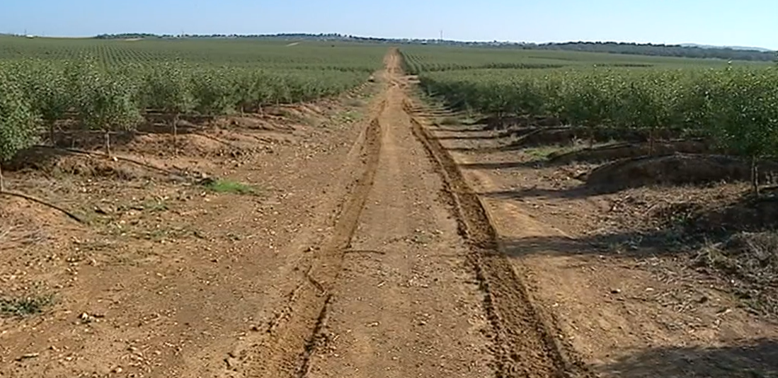 Jovem Agricultor Europeu