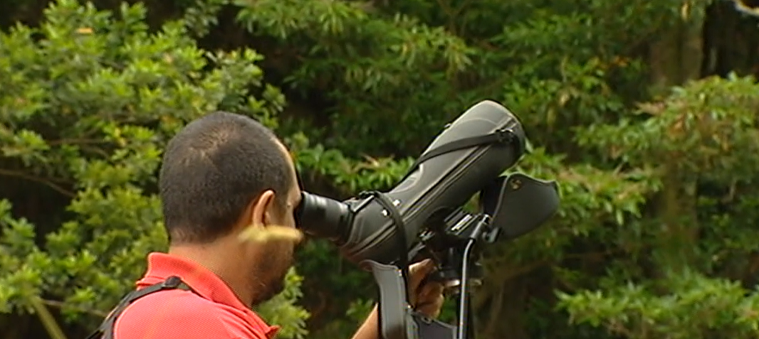 Recomendações sobre ecoturismo e observação de aves