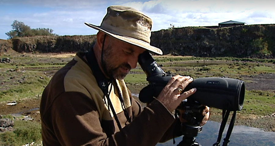 Observadores de Aves