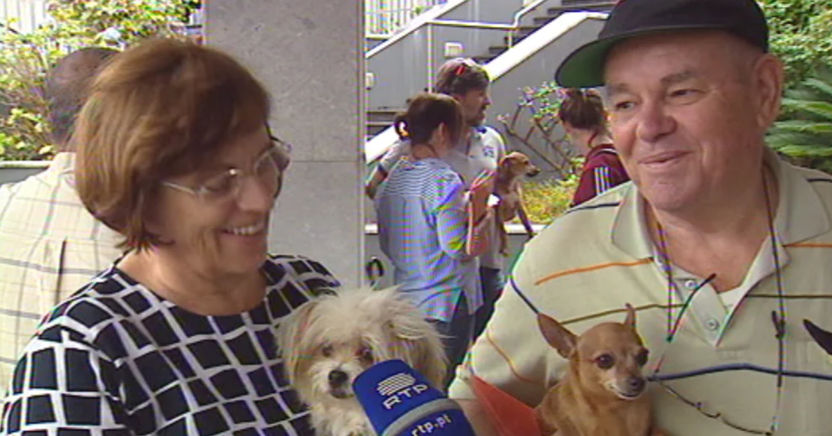 3ª Campanha municipal de registo e vacinação de cães