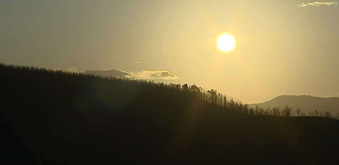 Incêndio em Arganil