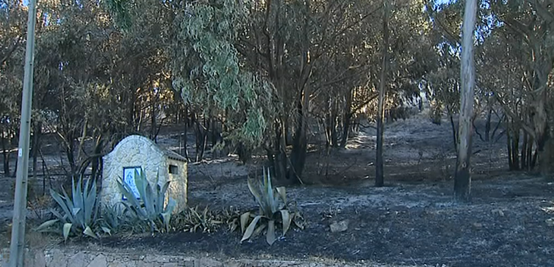 Relatório da Comissão Europeia sobre Parque Natural Sintra Cascais