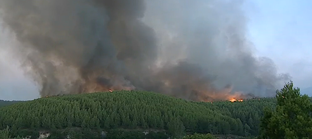 Incêndios dominados em Sintra e Cascais