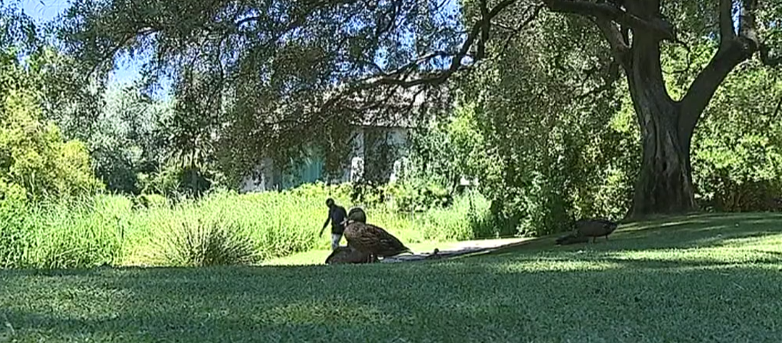 Jardins da Fundação Calouste Gulbenkian