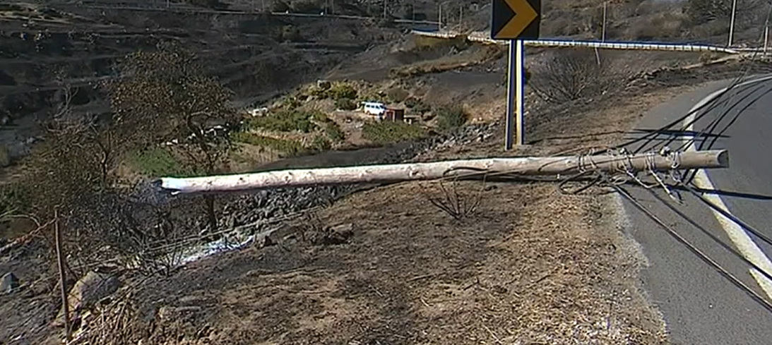 Falta de limpeza na Serra de Sintra