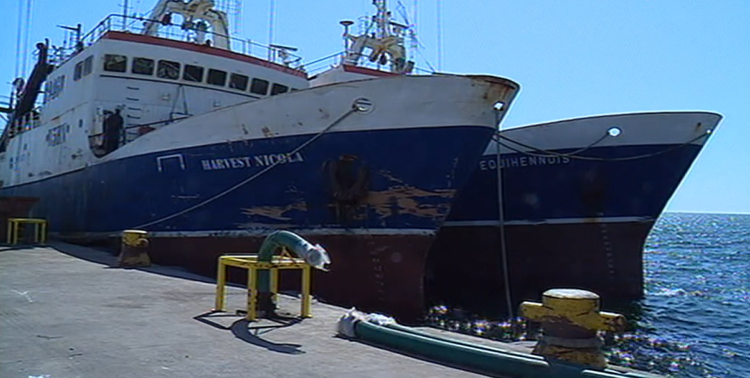 Criminalidade na África do Sul obriga portugueses a emigrarem para a Namíbia