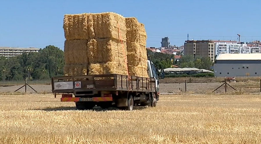 Campanha solidária para agricultores
