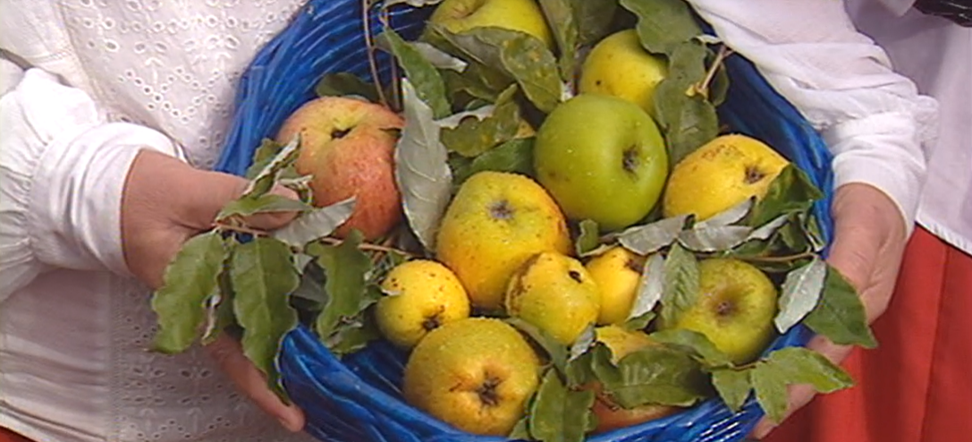 33ª edição da Festa da Maçã na freguesia da Camacha