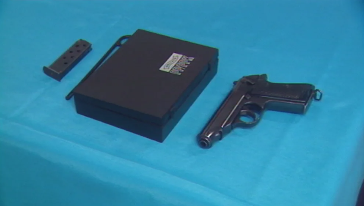 PSP oferece armas à Polícia Florestal