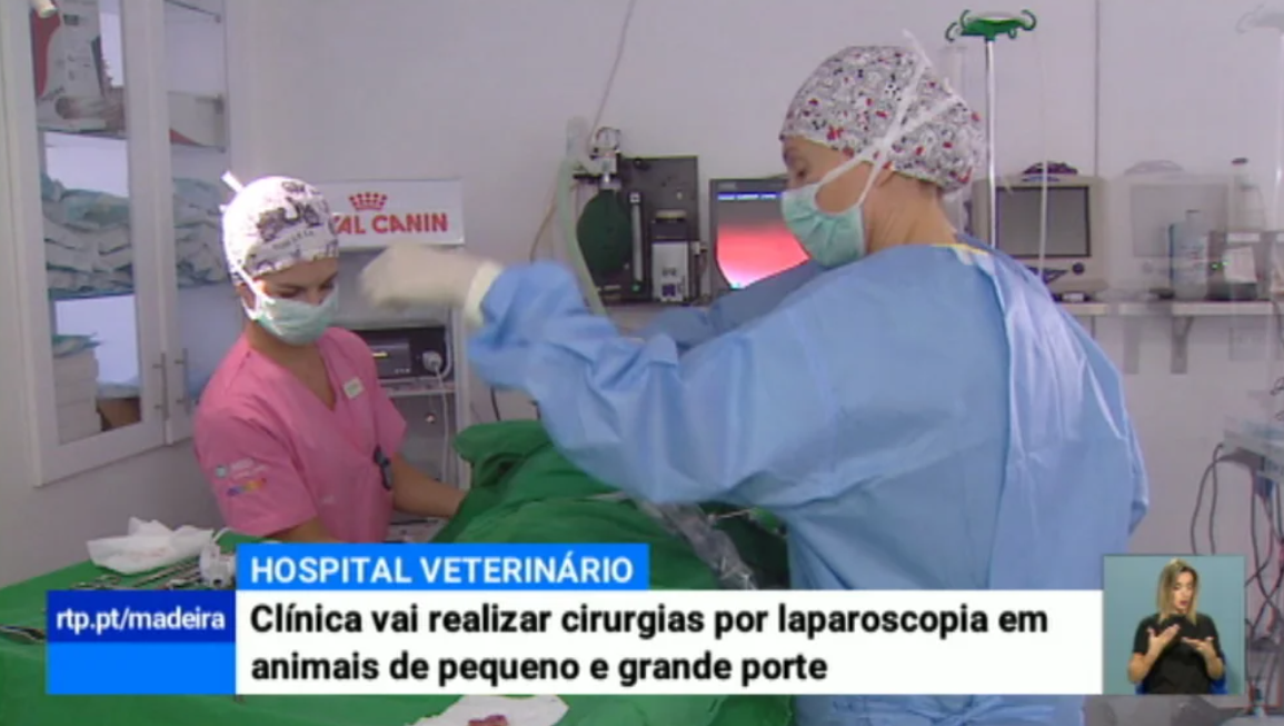 Nova técnica cirúrgica para animais