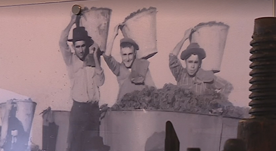 Casa Mostra em Grandola