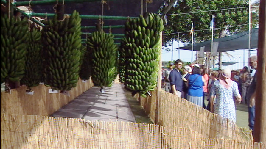 Mostra Regional da Banana