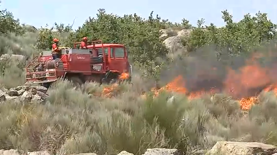 Incêndio florestal na Guarda