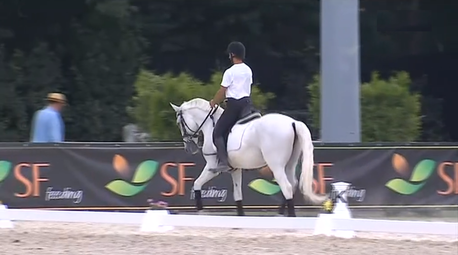 Feira do Cavalo em Ponte de Lima II