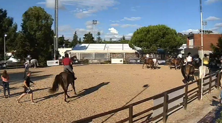 “Global Champions Tour” em Cascais I