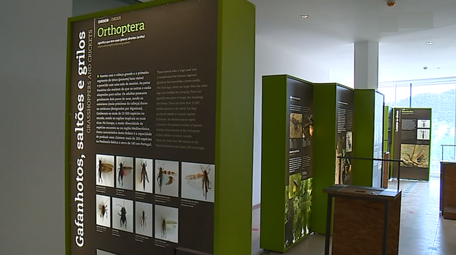 Plataforma Ciência Aberta em Barca D’Alva