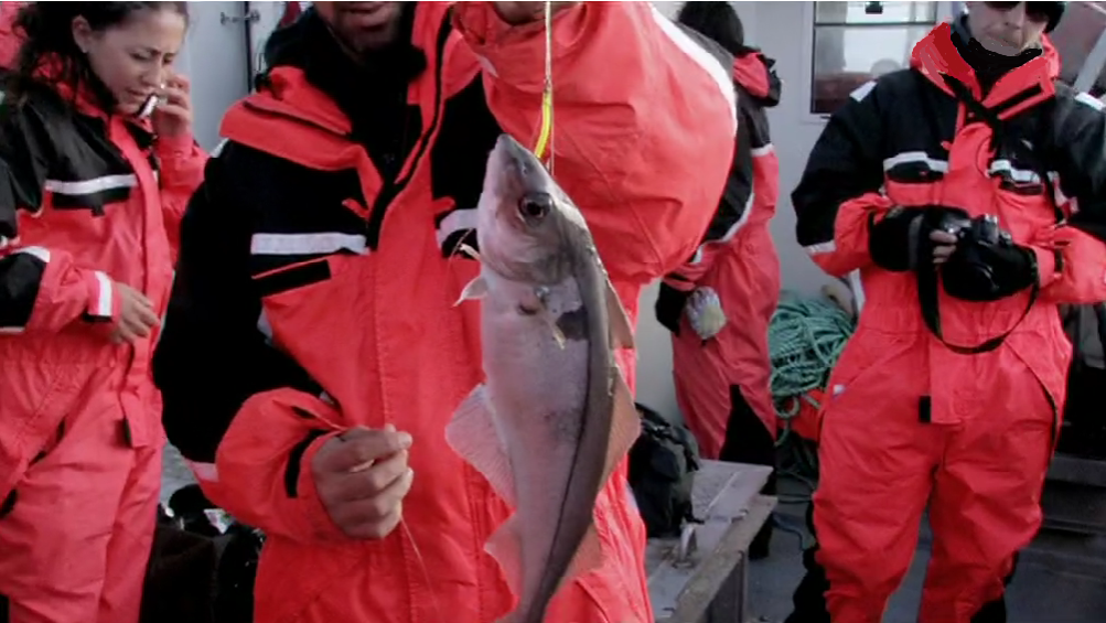 Tournée Noruega: Especial Bacalhau