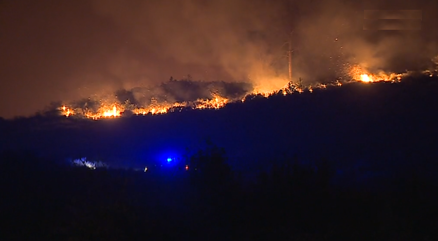 Incêndio florestal em Mangualde